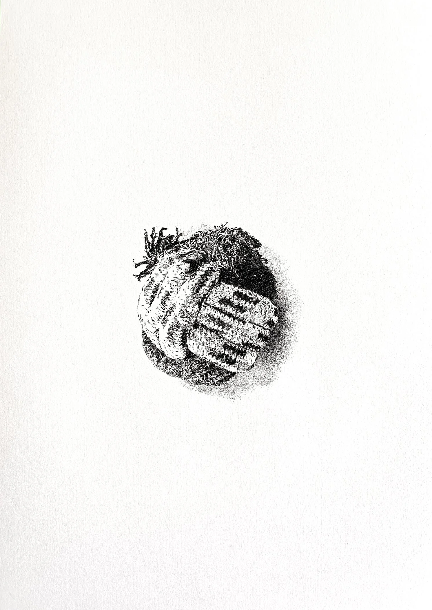 Ink on paper drawing of a dog rope toy, created in a detailed pointillist style.