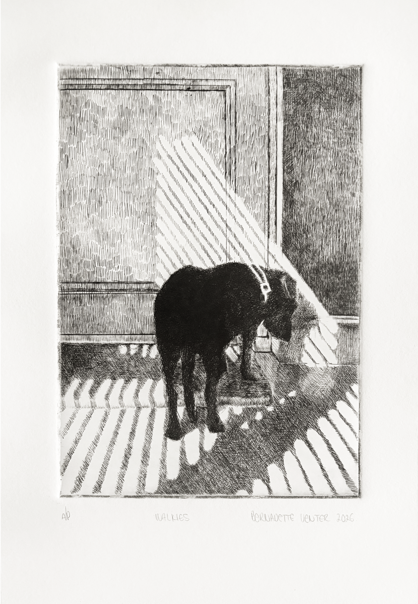 Drypoint print from a cardboard plate depicting a silhouette before a dog walk, rendered to suggest memory and everyday acts of care and connection.