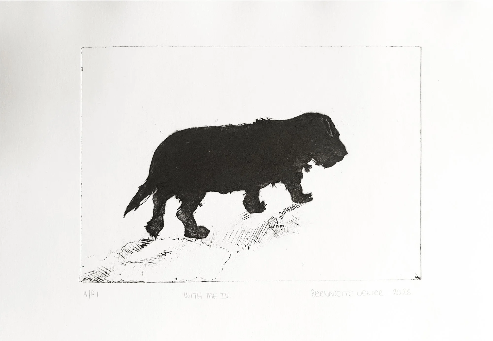 Drypoint print from a cardboard plate depicting a silhouettes from dog walks, rendered to suggest memory and everyday acts of care and connection.