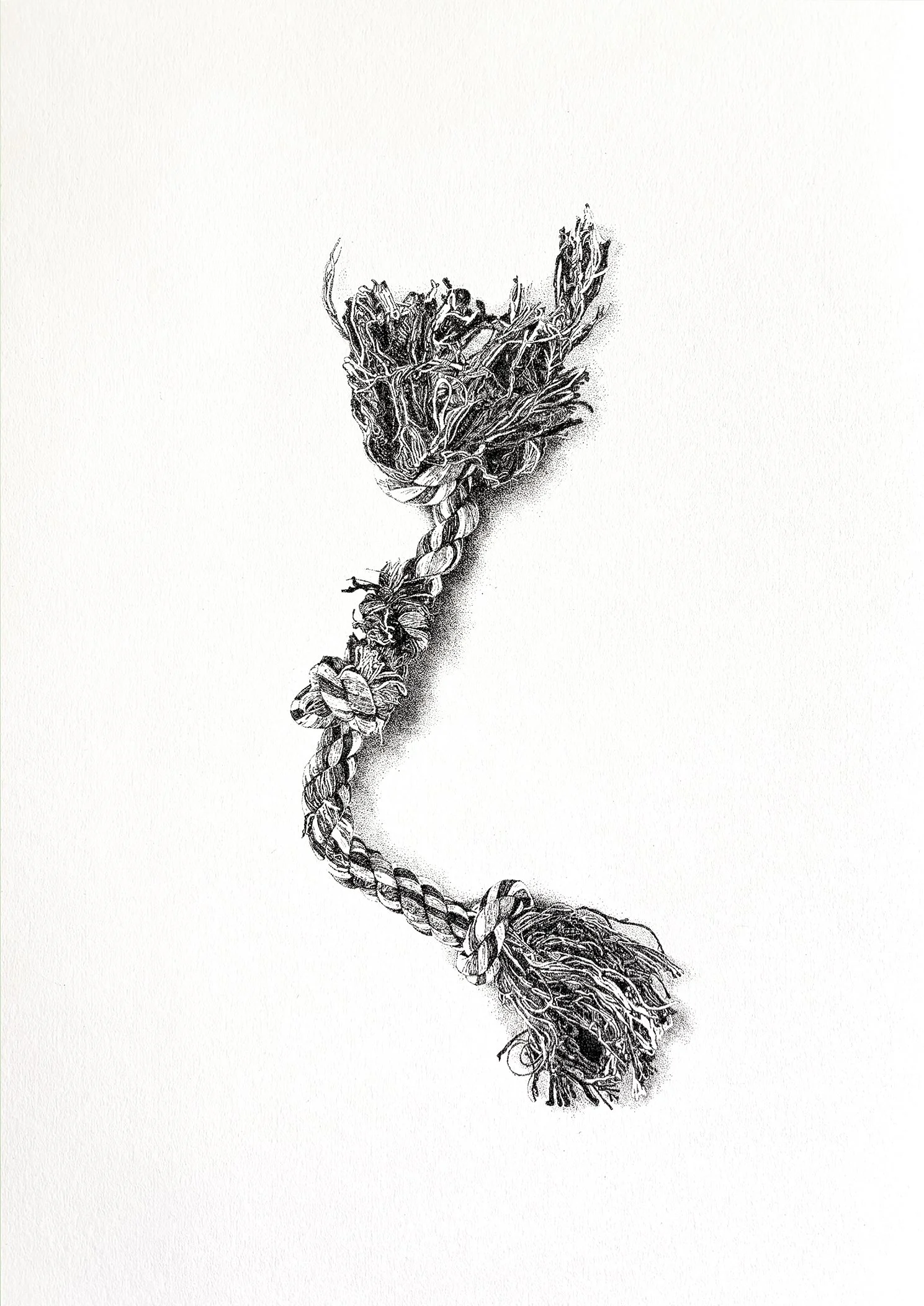 Ink on paper drawing of a dog rope toy, created in a detailed pointillist style.