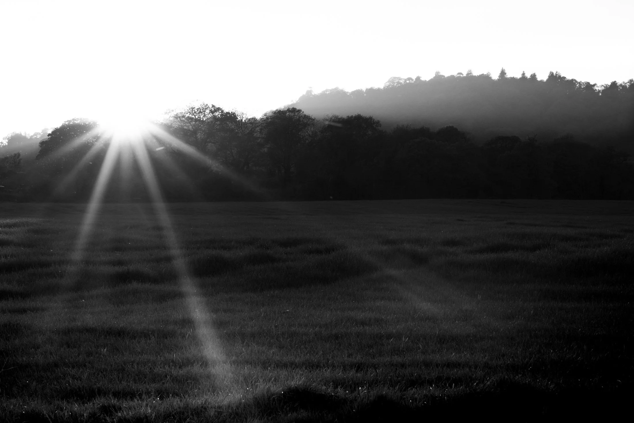 Black and white photo of a bright sunrise over a grassy field with trees and hills in the background.