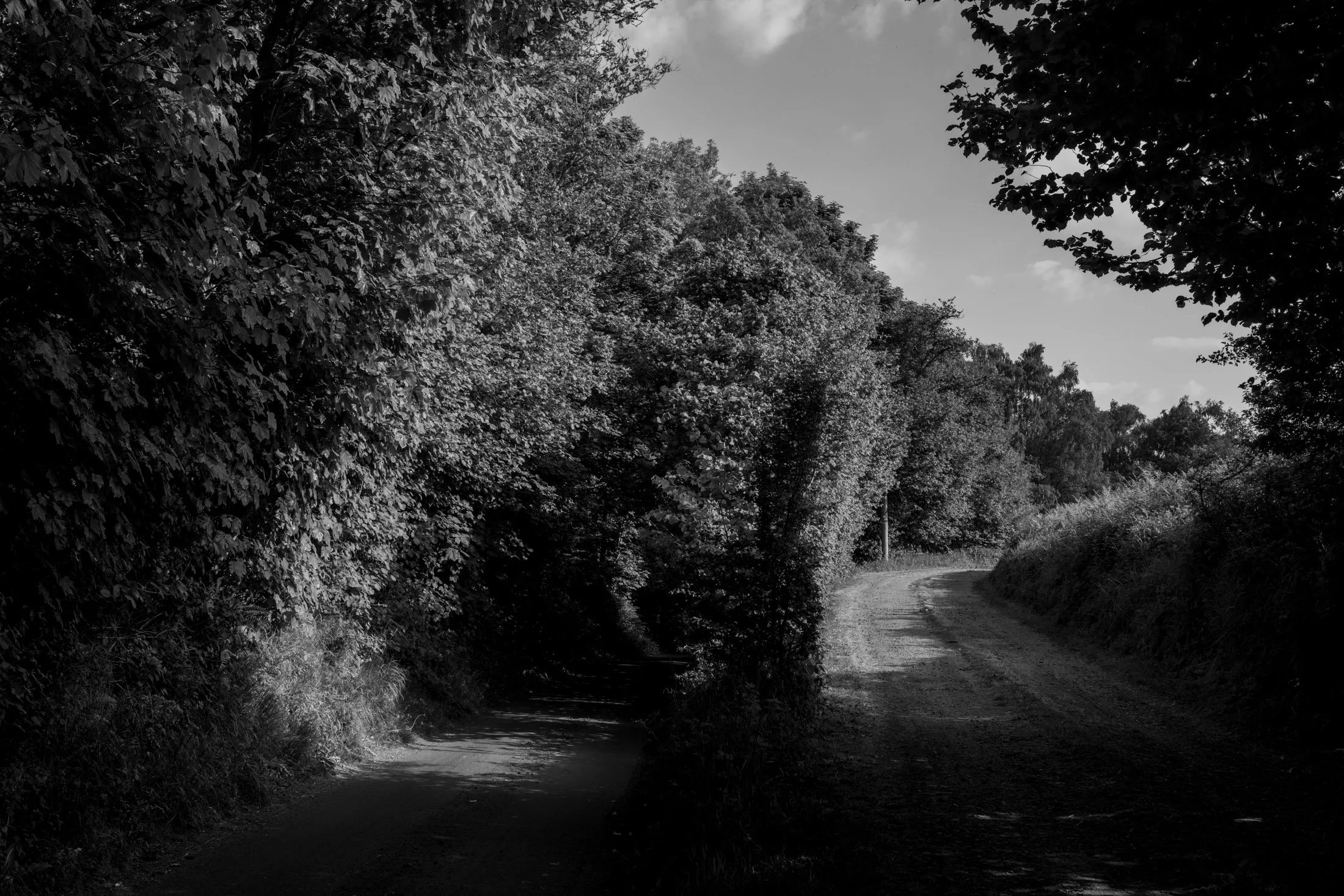Black and white image of a dirt country road flanked by thick trees and bushes, with a small stream running alongside on the left. The sky is partly cloudy.