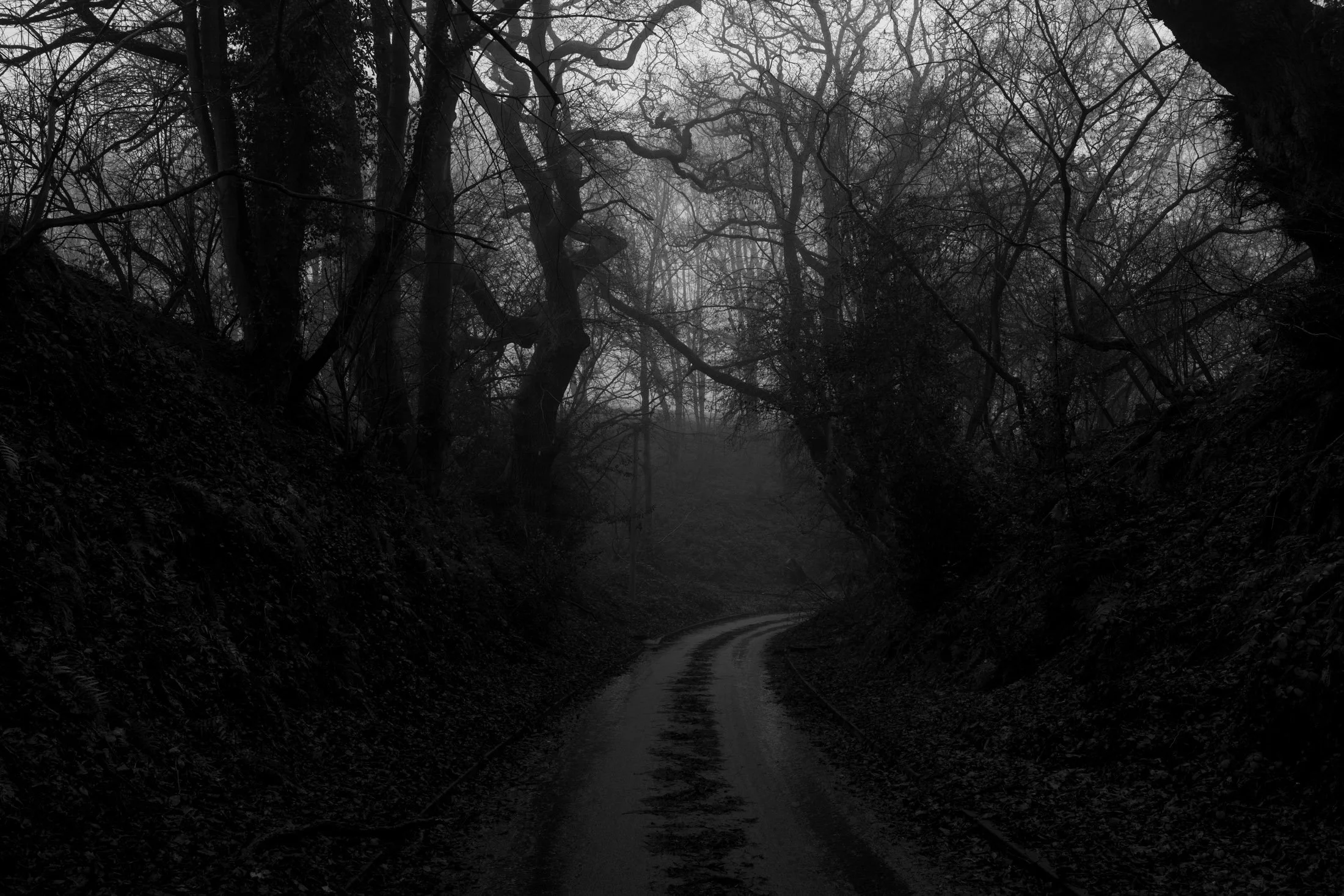 Dark, narrow dirt road winding through a dense, leafless forest, with twisted tree branches overhead on a foggy day.