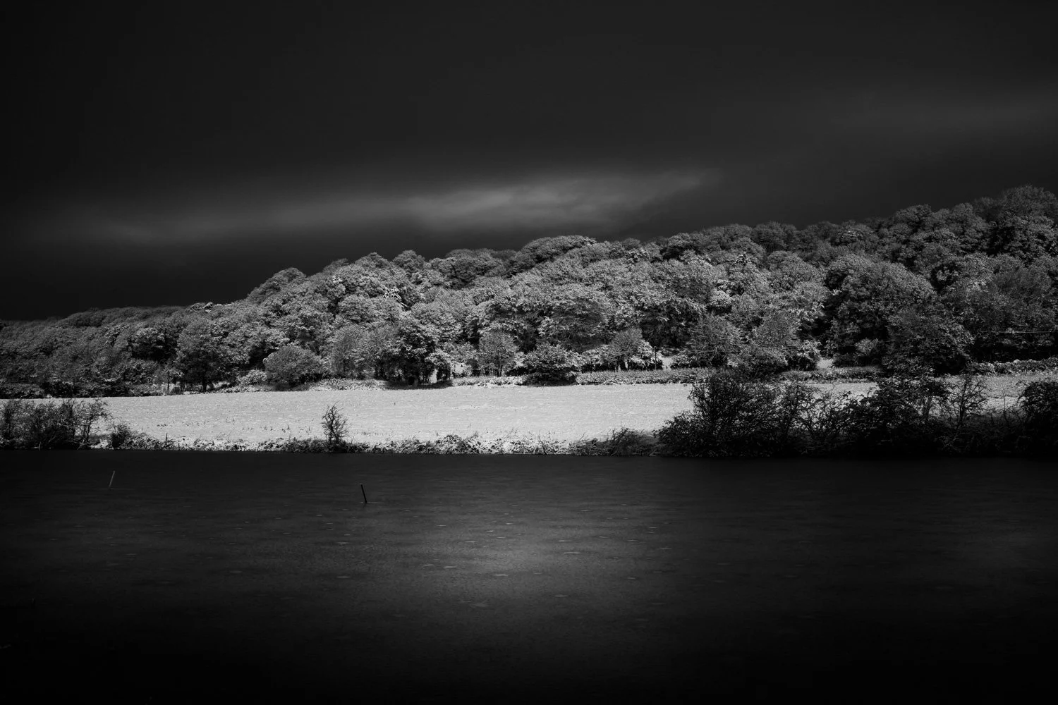 Black and white photo of a landscape with a dark sky, a forested hillside, and a body of water in the foreground.