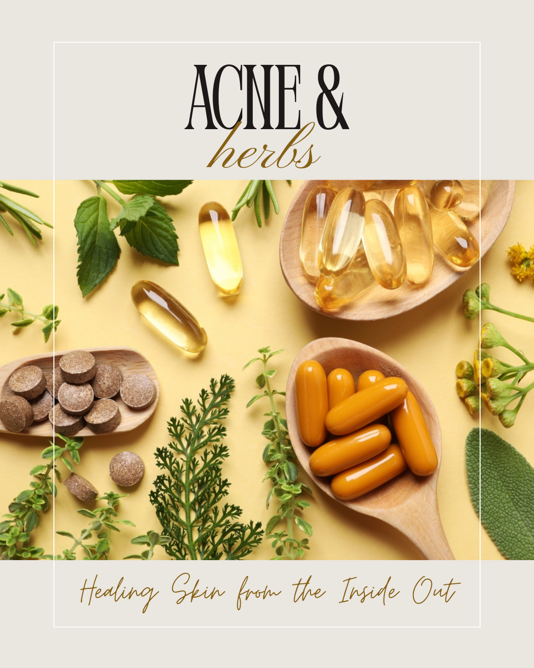 Beyond Clogged Pores: Why Your Acne Keeps Coming Back and How We Use Chinese Herbal Medicine  to Fix It