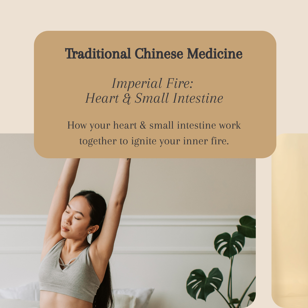 Imperial Fire: How the Heart and Small Intestine Work Together in Traditional Chinese Medicine