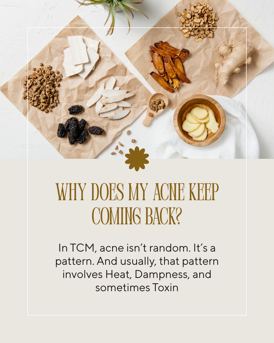 an image of Chinese herbs prepared to treat acne and the text "Why does my acne keep coming back? In TCM, acne isn't random. It's a pattern. and usually that pattern involves heat, damp, and toxin.