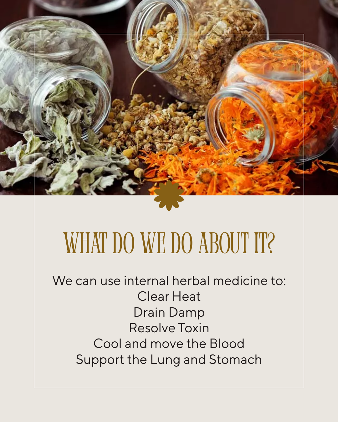 An image of Chinese herbs and the text "What do we do about it: We can use internal herbal medicine to clear heat, drain damp, resolve toxin, cool and move the blood, support the lung and stomach: