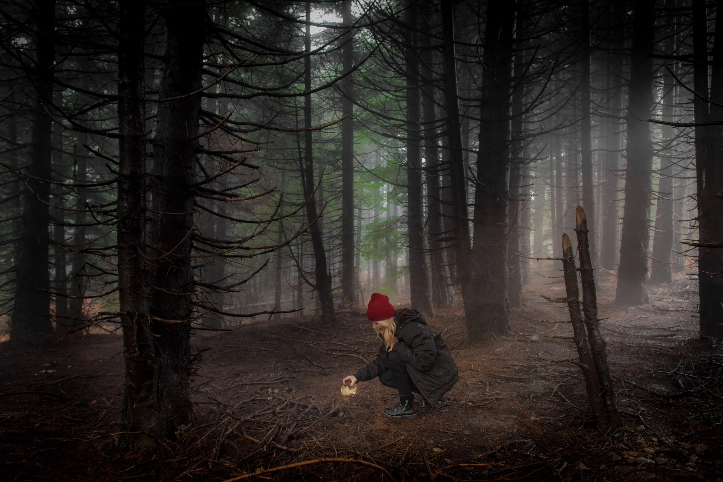 A young girl in a red hat is crouching down in a dense forest with tall, dark trees. She appears to be examining or picking something from the ground.