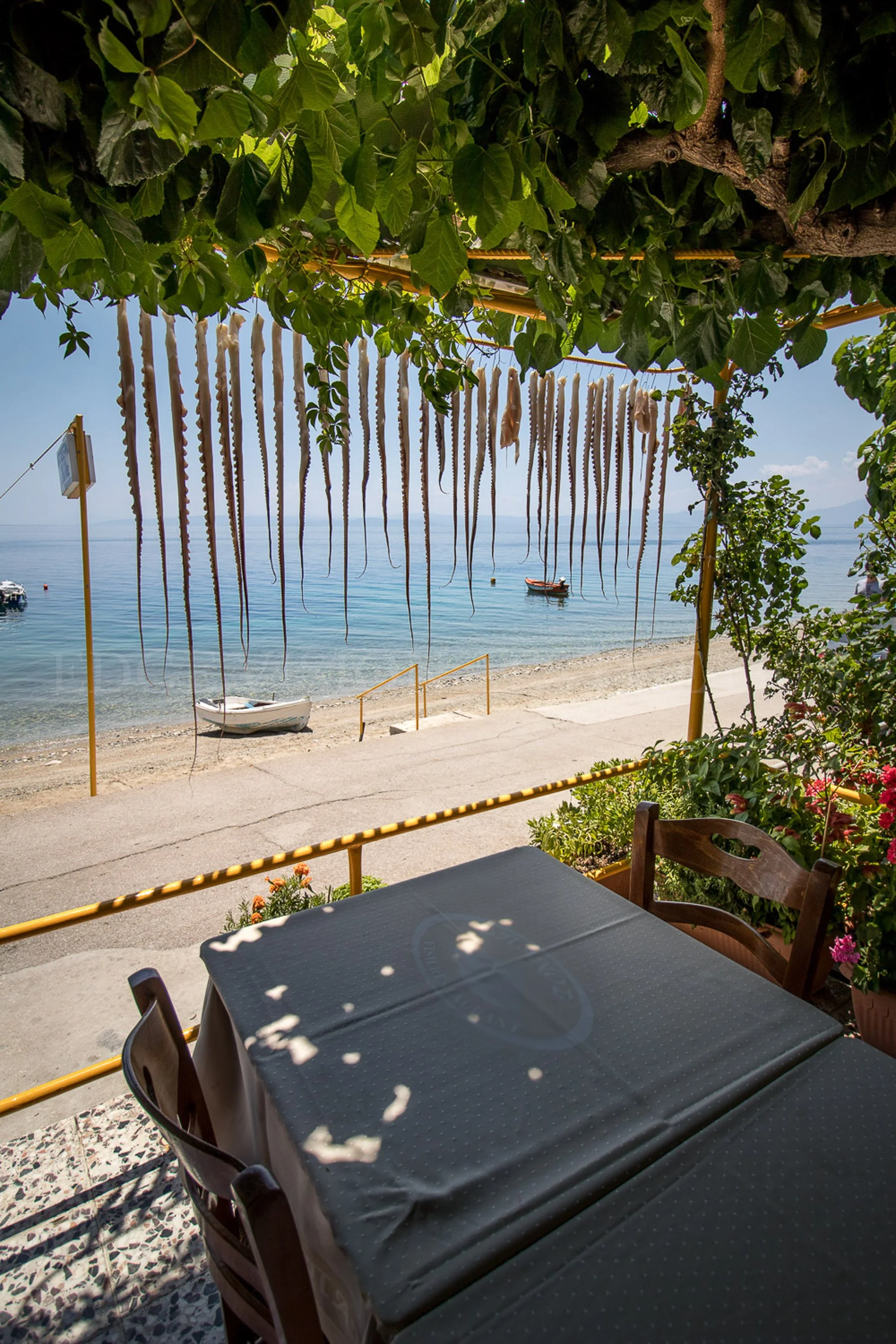 View of a beach with boats in the water, seen from a shaded outdoor seating area with a table and chairs. Overhanging tree branches with green leaves partially shade the scene.