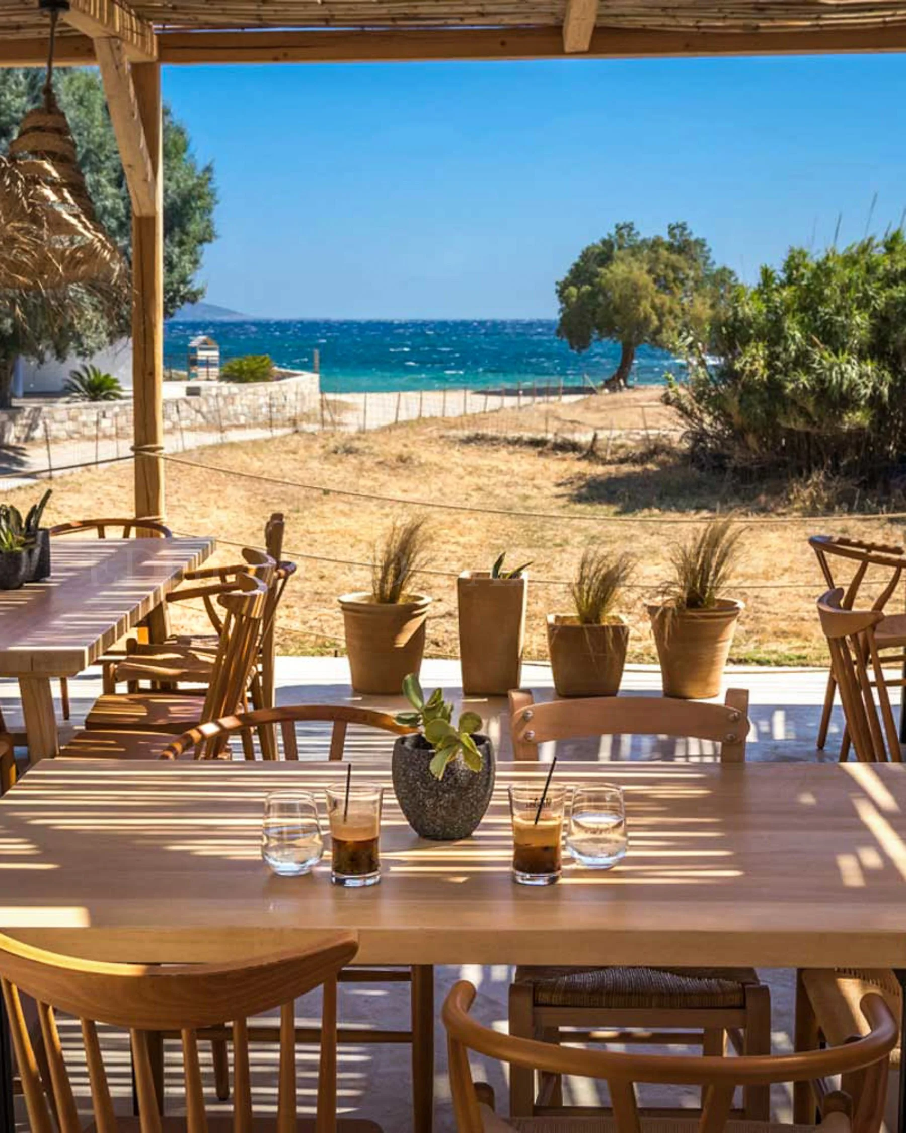 Outdoor dining area with wooden tables and chairs, potted plants, overlooking a sandy beach, trees, and blue ocean under clear sky.