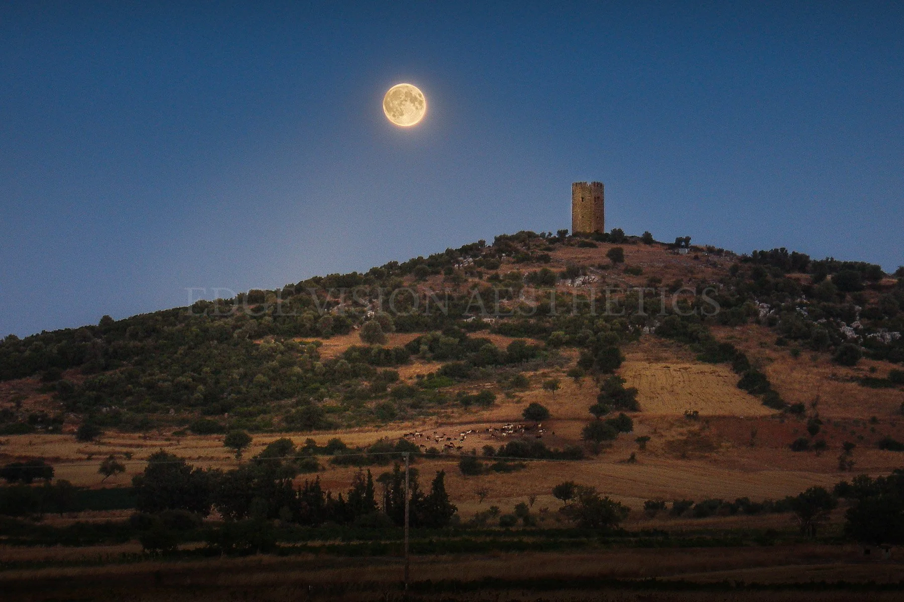 A landscape view of a hill with a cylindrical tower at the top, under a full moon in the night sky. The foreground has fields and scattered trees, with a herd of cattle grazing.