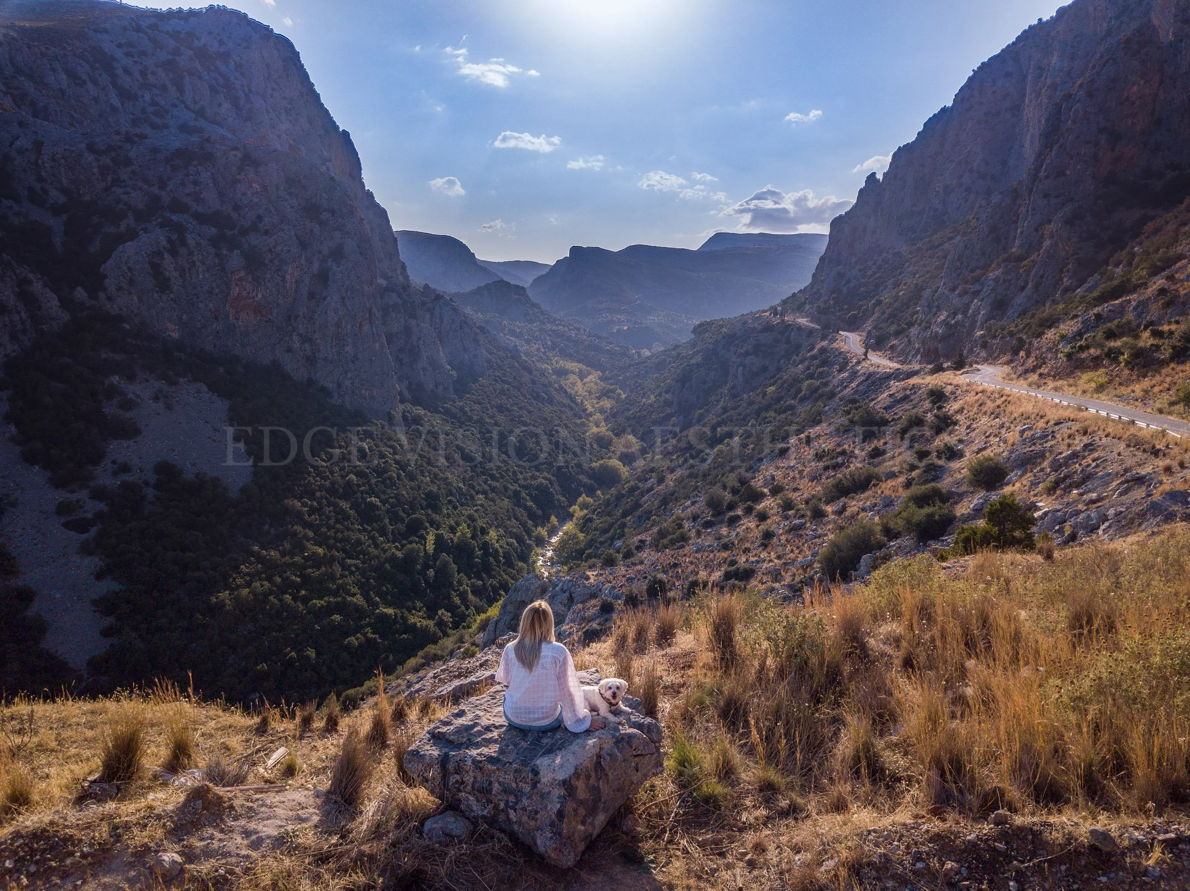 A woman and her dog sitting on rocks and overlooking a deep valley between two mountain ranges under a partly cloudy sky.