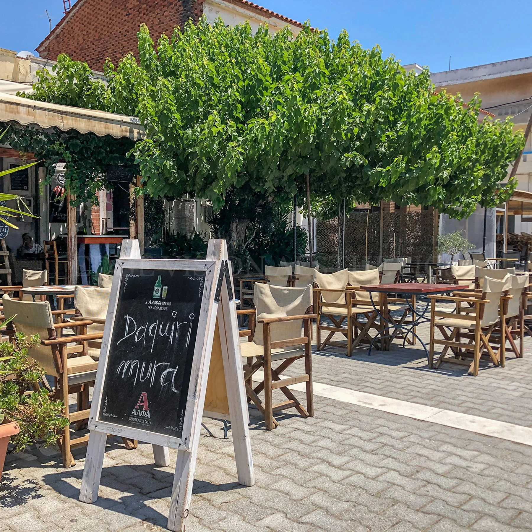 Outdoor cafe seating area with wooden chairs and tables, a chalkboard sign with Greek writing, lush green trees providing shade, and a sunny sky in the background.