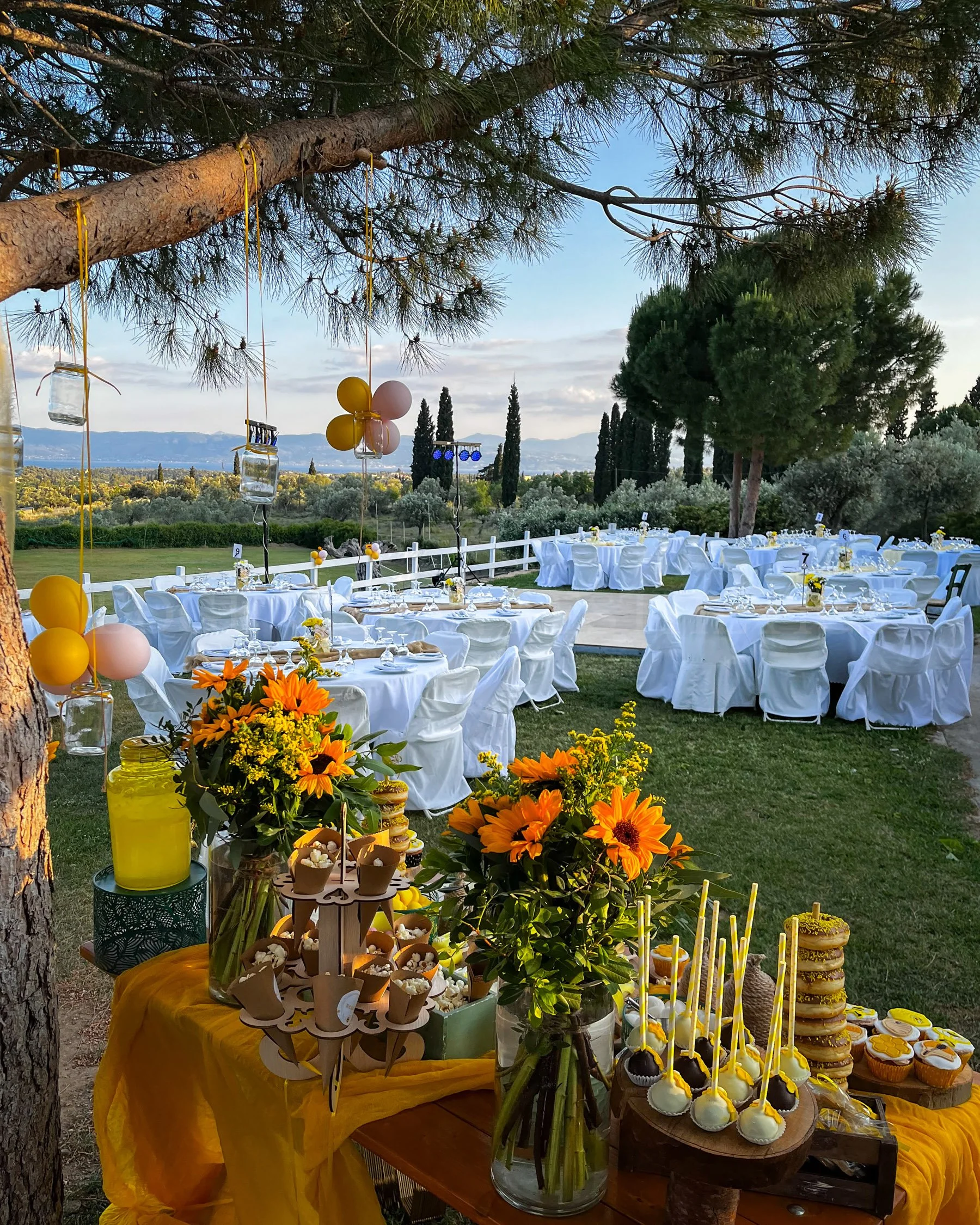 Outdoor celebration setup with tables draped in white and decorated with yellow flowers, balloons hanging from a tree, and a dessert table with cupcakes, cake pops, and chocolates on a yellow tablecloth, set against a natural landscape with trees and