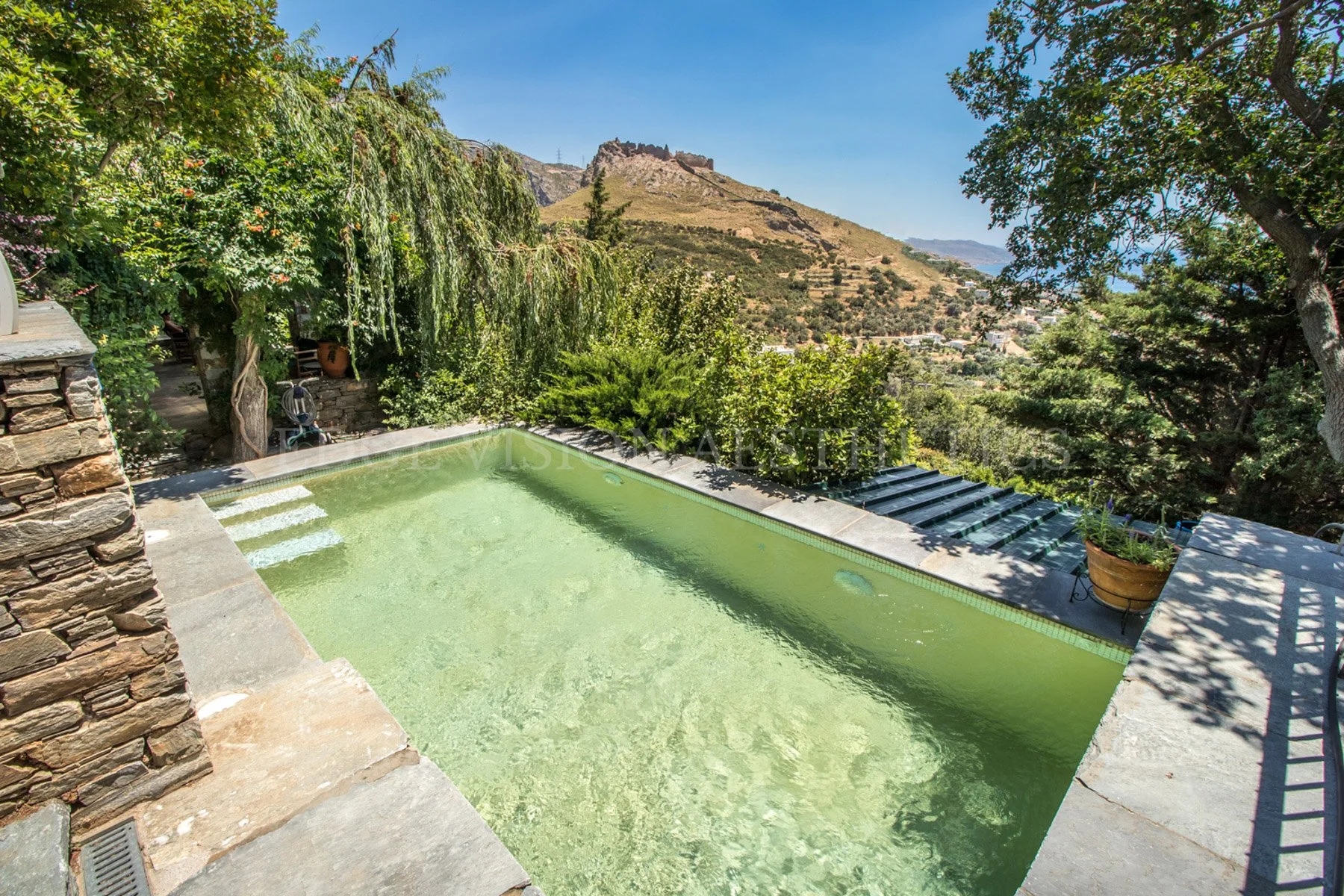 A rectangular outdoor swimming pool with greenish water, surrounded by stone and concrete paving, with steps leading into the pool. There are lush green trees and bushes around the pool, with a mountainous landscape and a blue sky in the background.