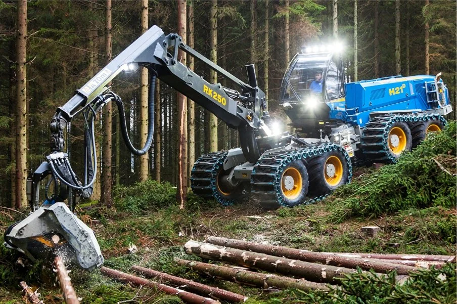 Forestry machine cutting and processing trees in a forest