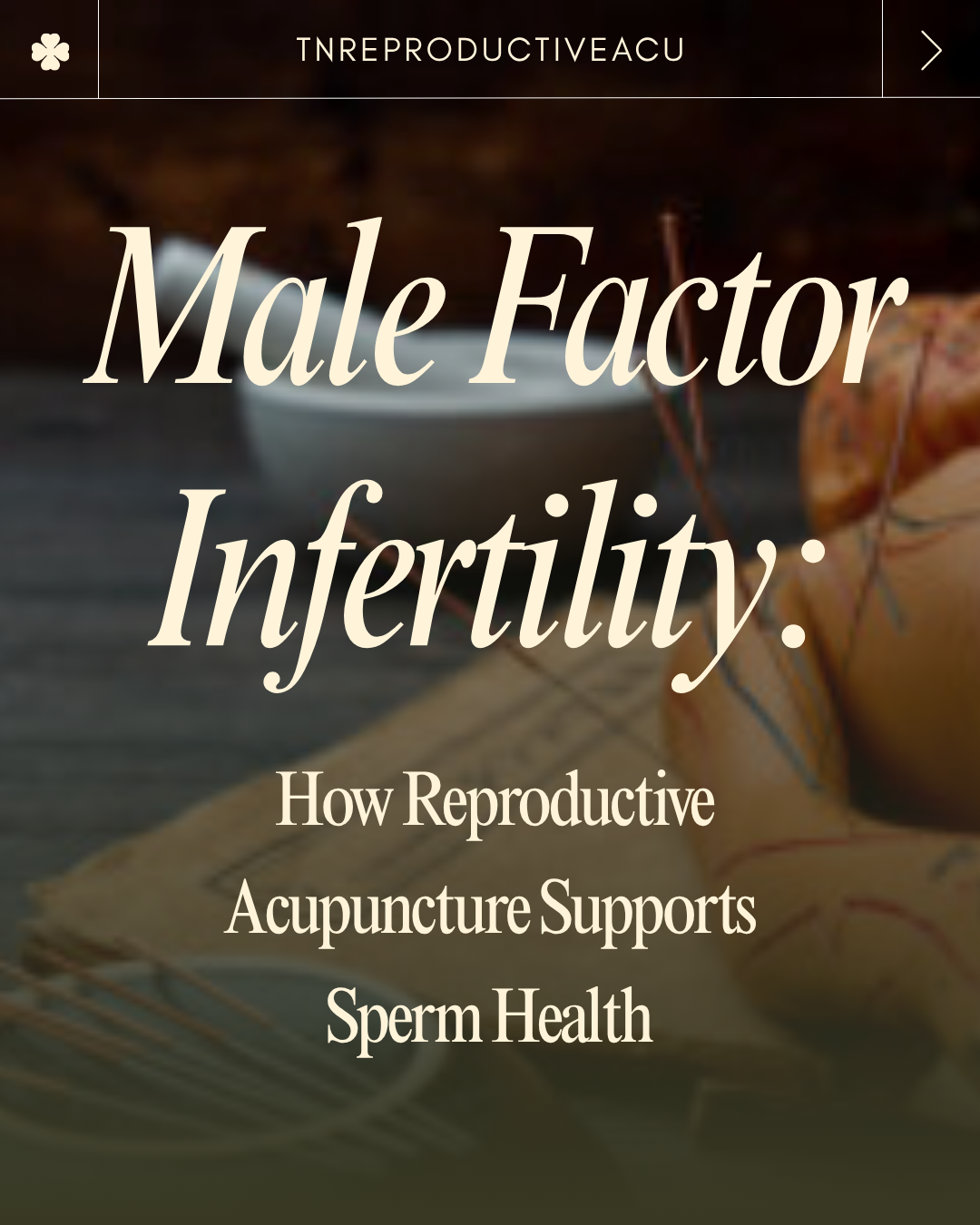  Optimizing Male Fertility with Acupuncture