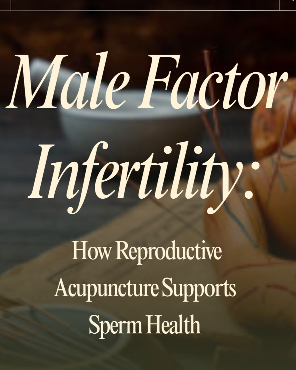  Optimizing Male Fertility with Acupuncture