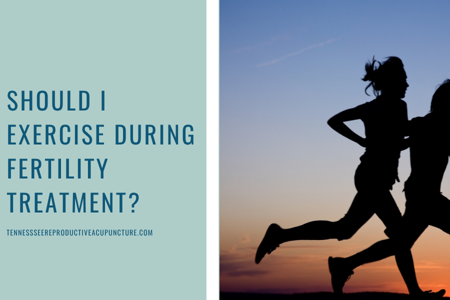 Should I exercise during fertility treatment? 
