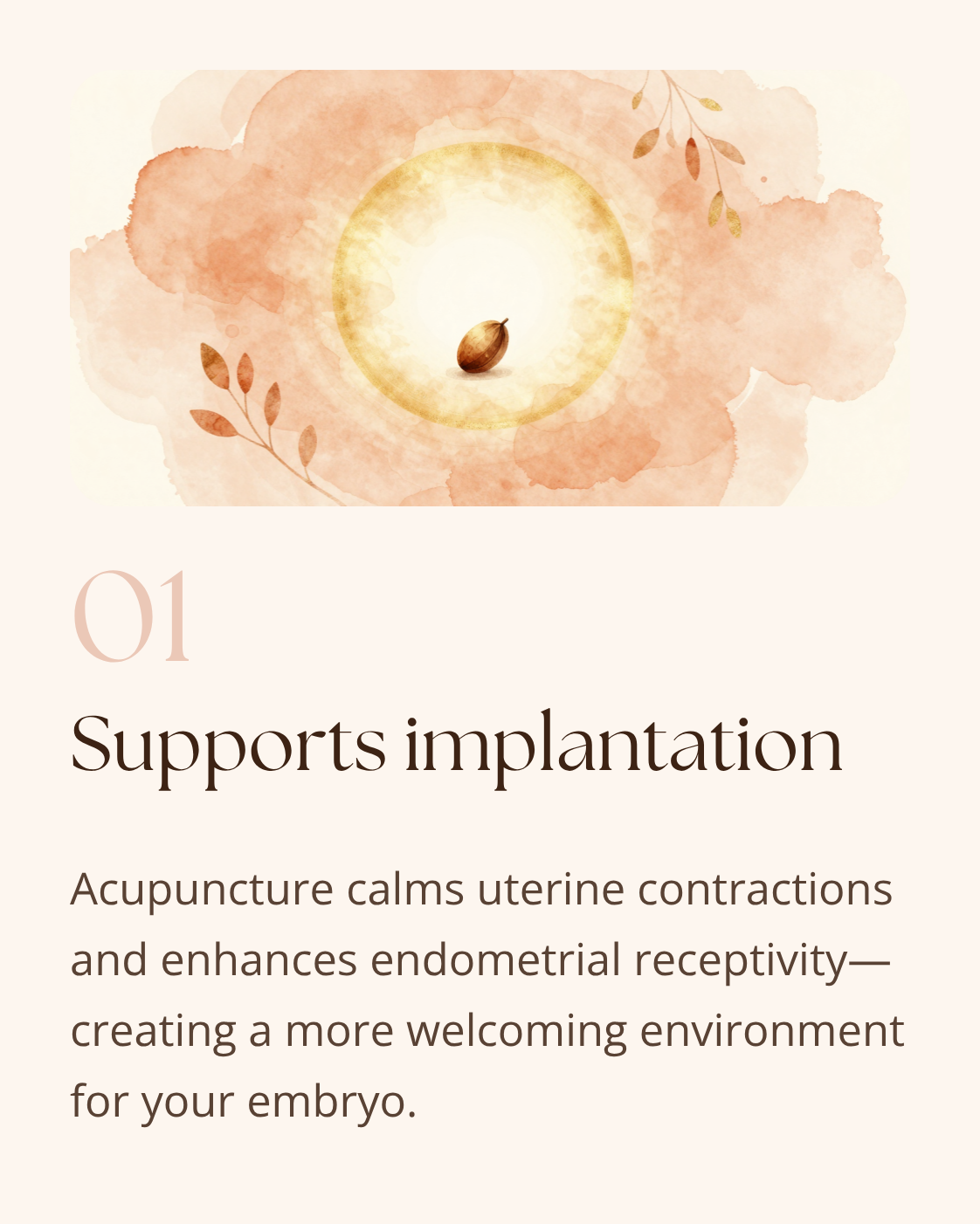 an image of a seed implying fertility with the text "Supports implantation, acupuncture calms uterine contractions, and enhances endometrial receptivity, creating a more welcoming environment for your embryo
