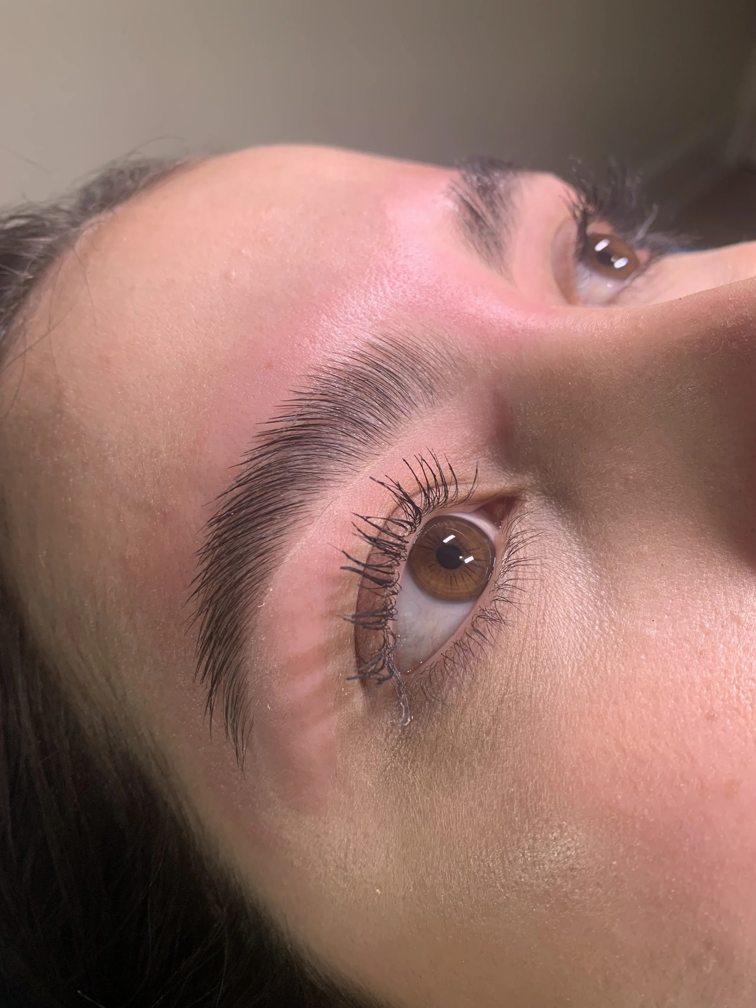 Structured Brows Wash Park Denver Brow Tinting | Defined Bold Brows — Gold Rush Esthetics