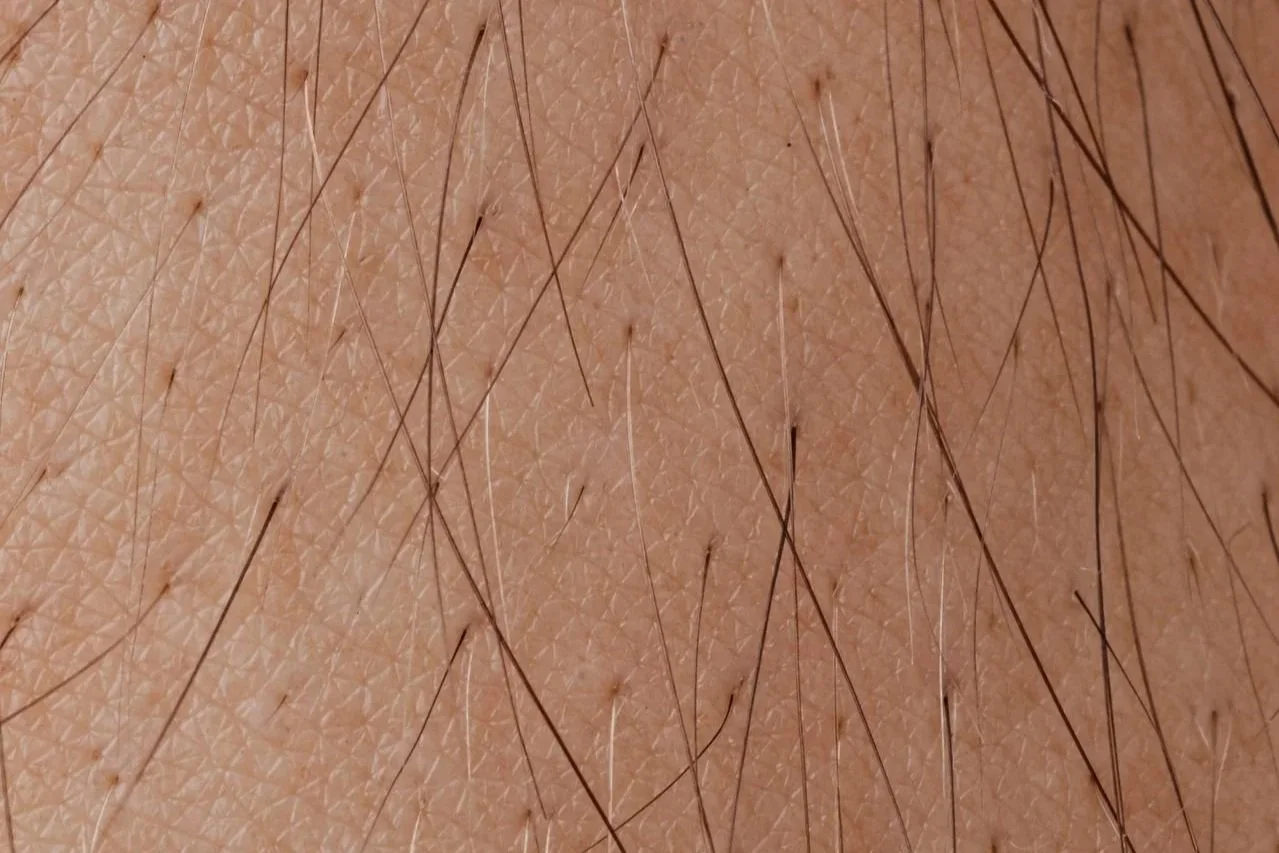 Close-up of leg hair growth