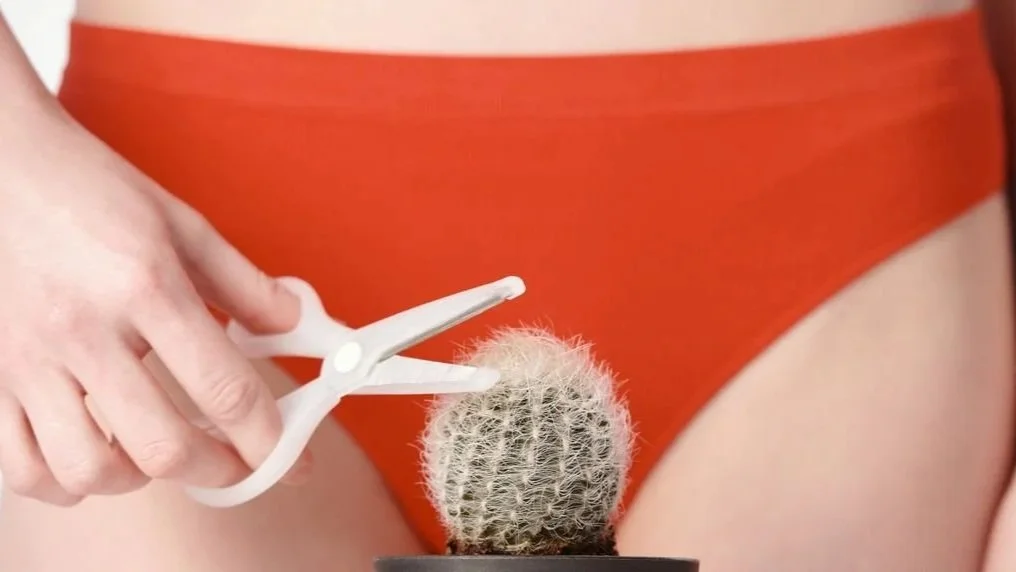 person holding scissors near a cactus while wearing red underwear