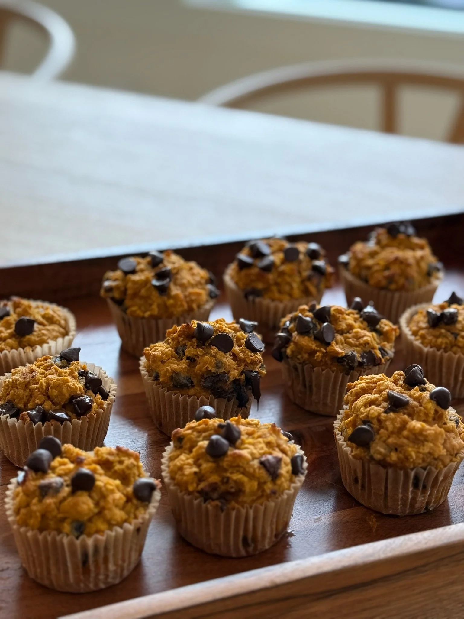High Protein Pumpkin Chocolate Chip Muffins