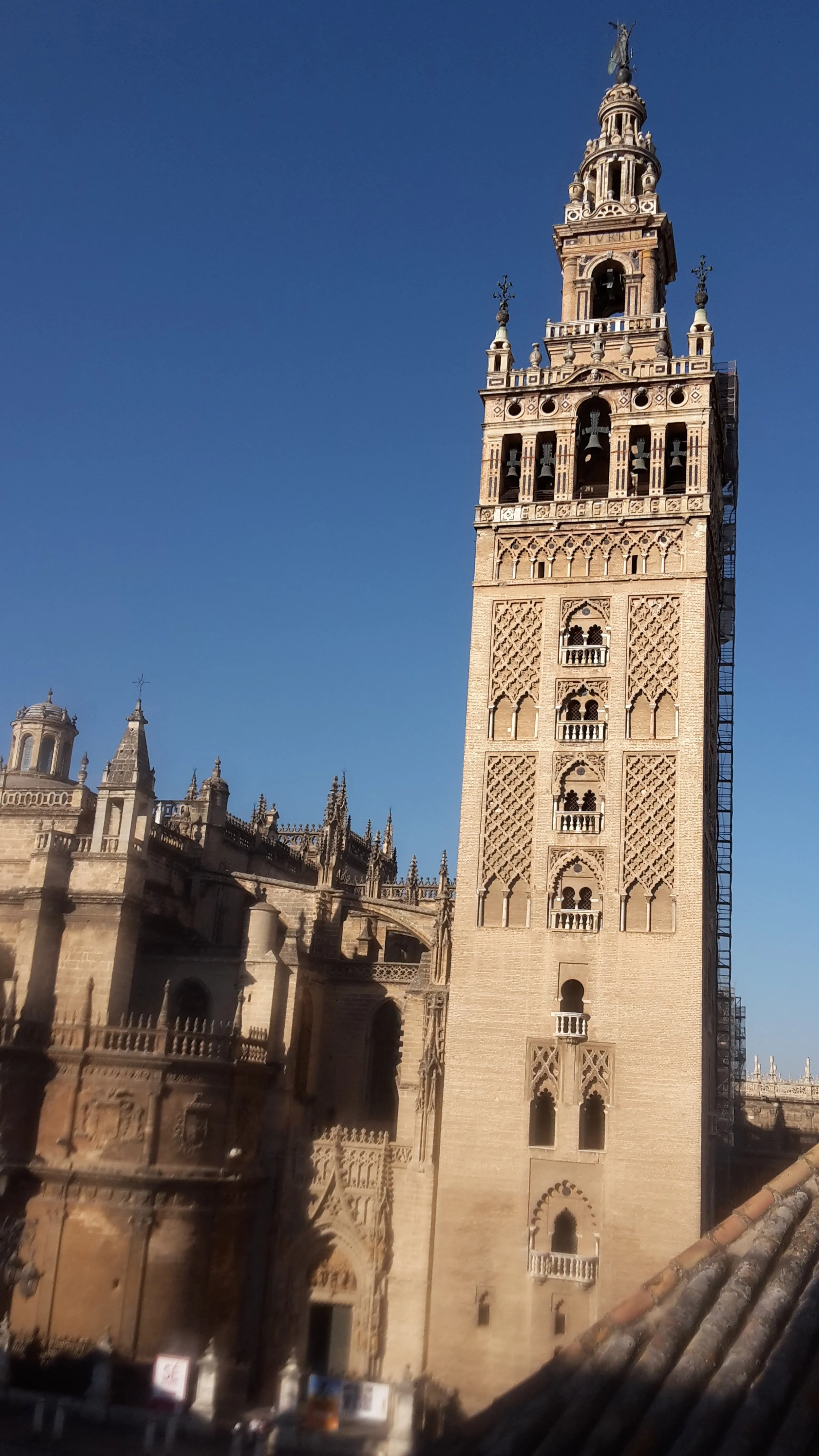 Une grande tour en pierre avec un haut clocher orné de sculptures et d'ornements gothiques, surplombant une ancienne cathédrale en style gothique, avec un ciel bleu clair en arrière-plan.