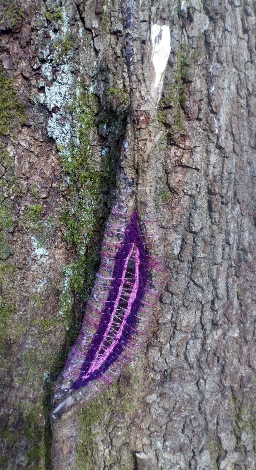 Yoni vine, wood & wool, 10cm by 4cm