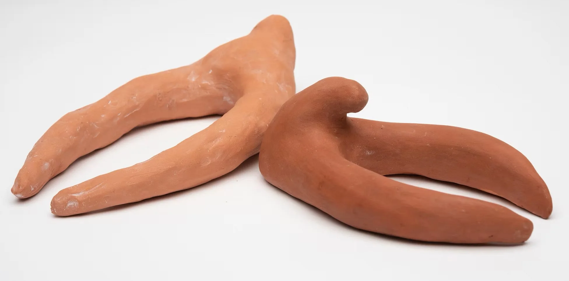 Swollen clitorises, Ceramic, 15cm by 10cm