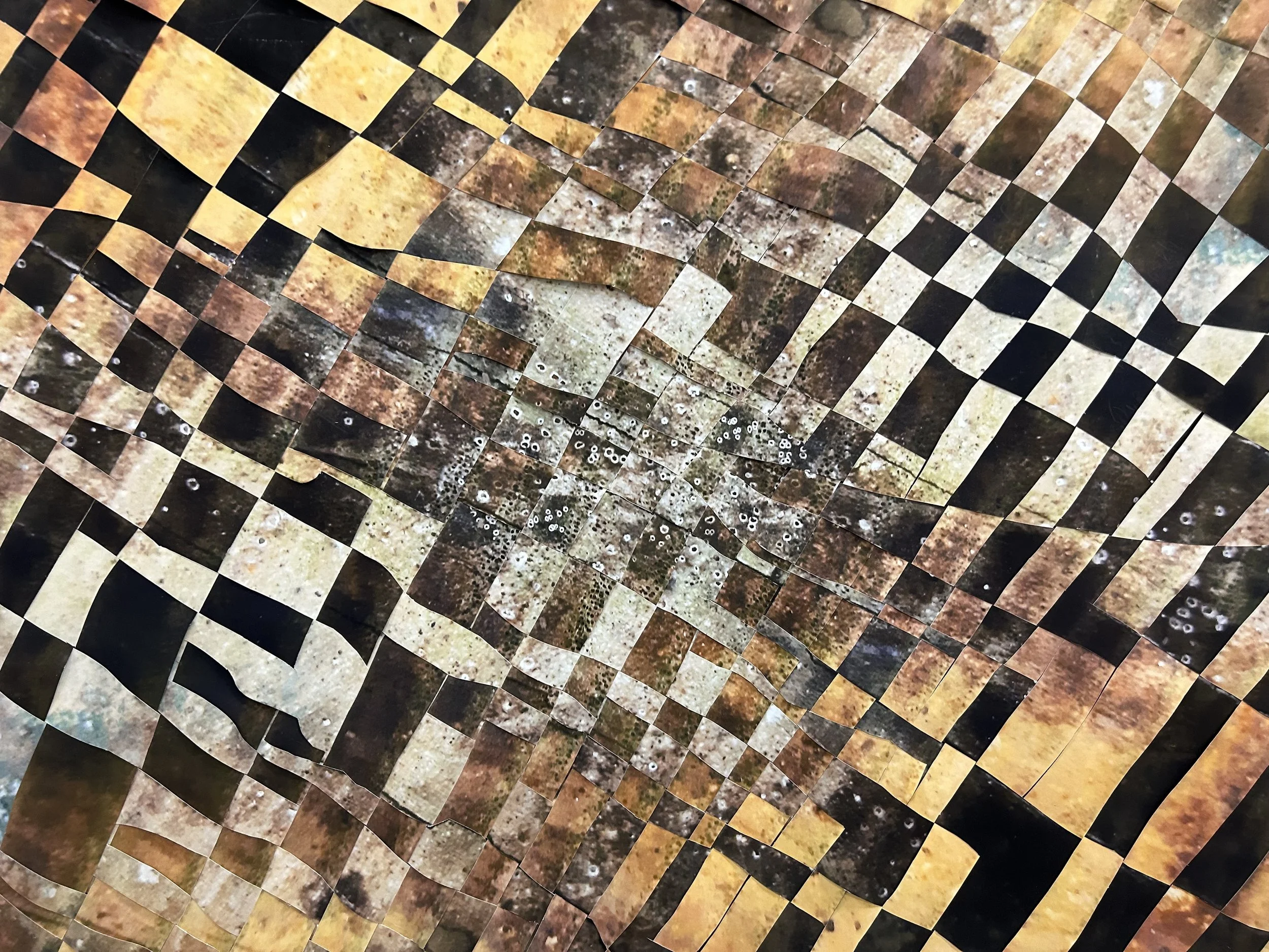 Rightway up, upside down - Photographic weave, A1