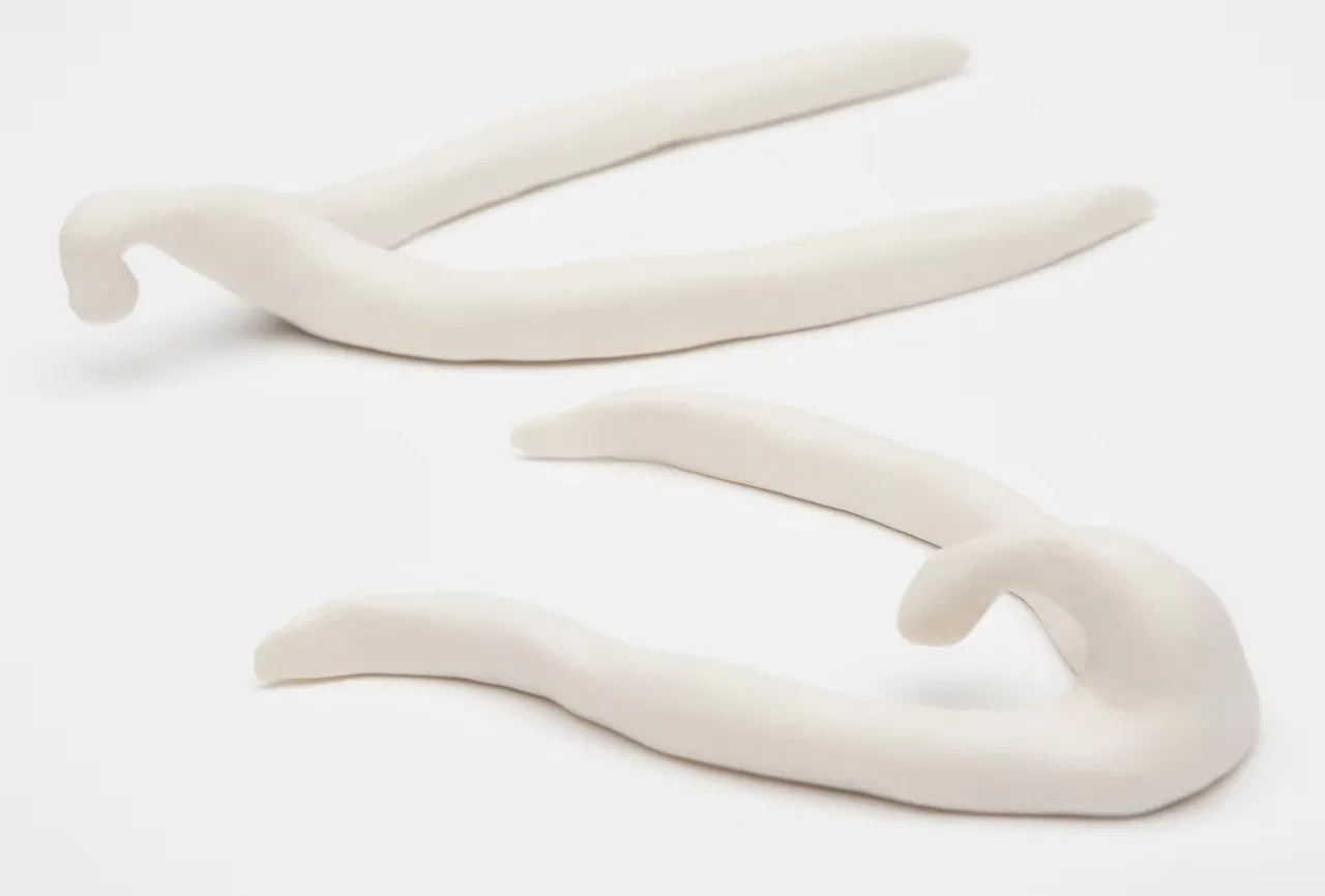 Bowing clitorises, Porcelain, 13cm by 5cm