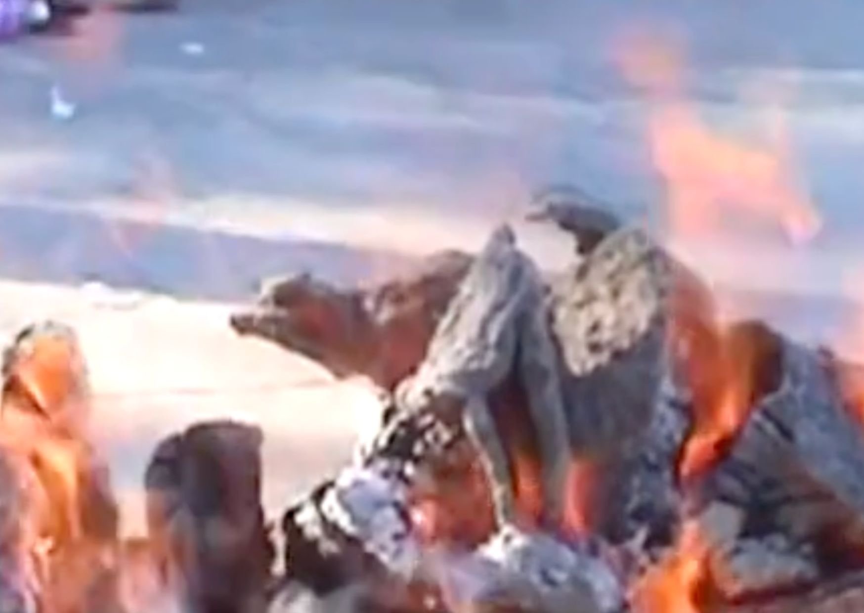 fire.jpg
