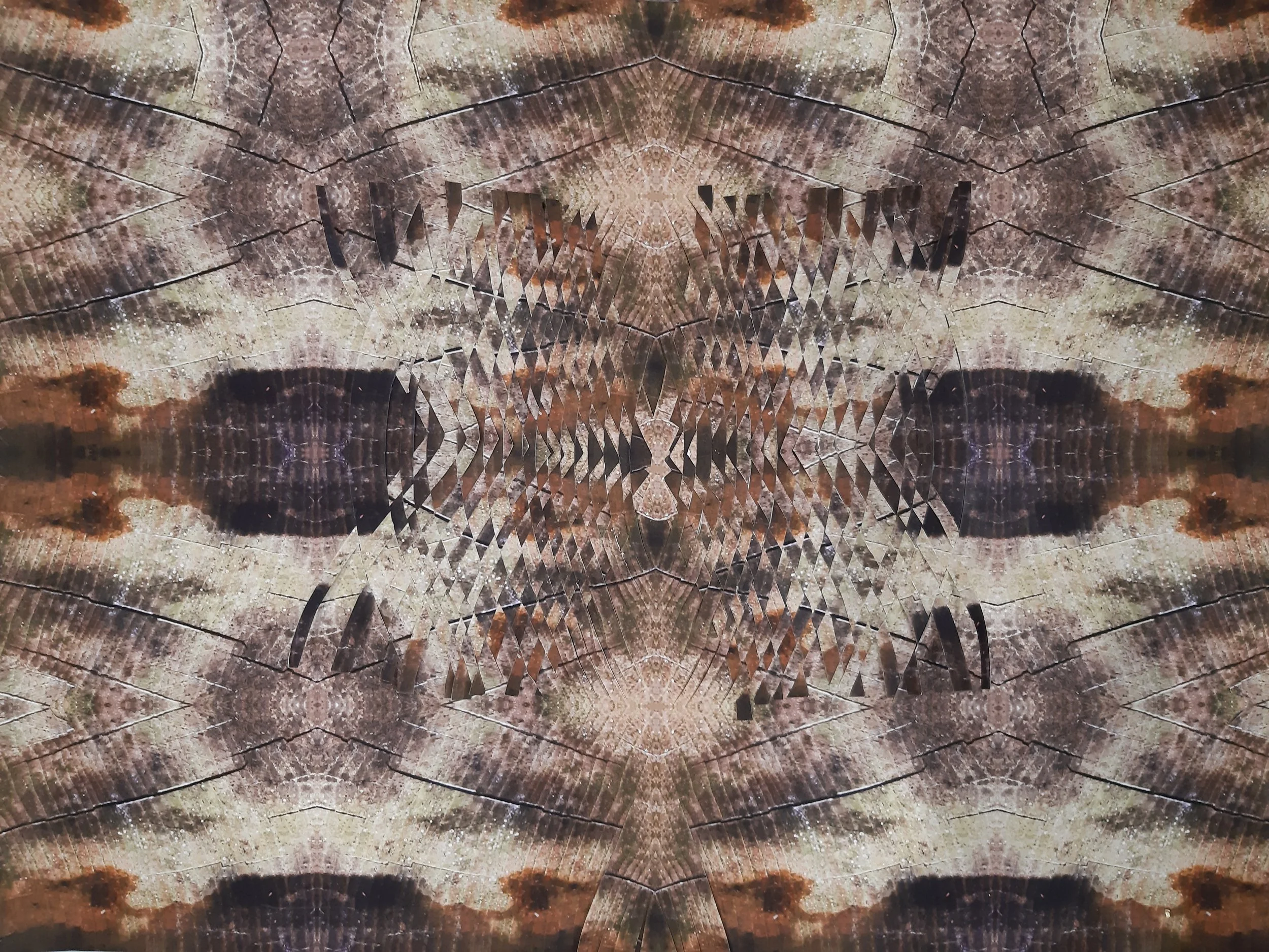 Tribal dreams, photographic weave, A1
