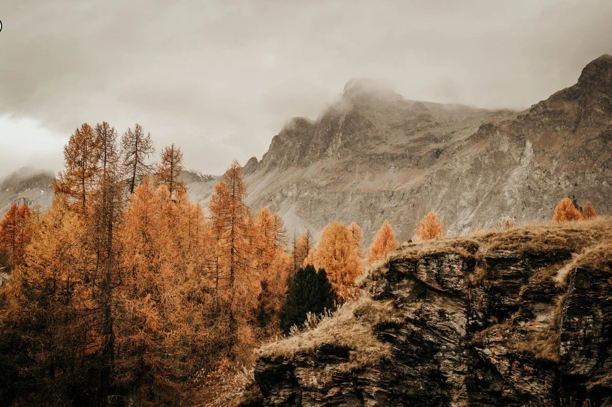 Autumn landscape with orange and brown trees on rocky terrain, mountain peaks in the background under cloudy sky.