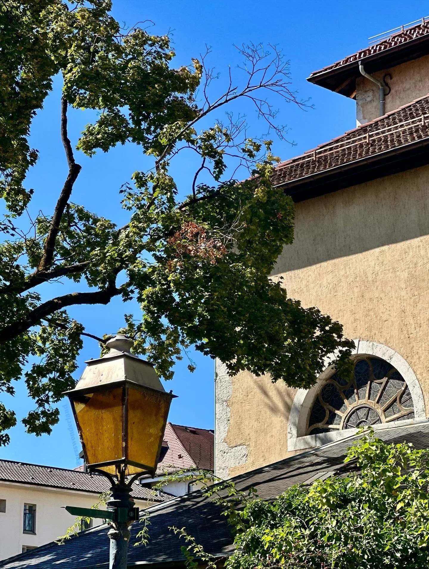 Arbre avec des feuilles vertes et branches nues, lampadaire en métal jaune à gauche, bâtiment ancien beige avec fenêtre ronde en pierre, ciel bleu clair.