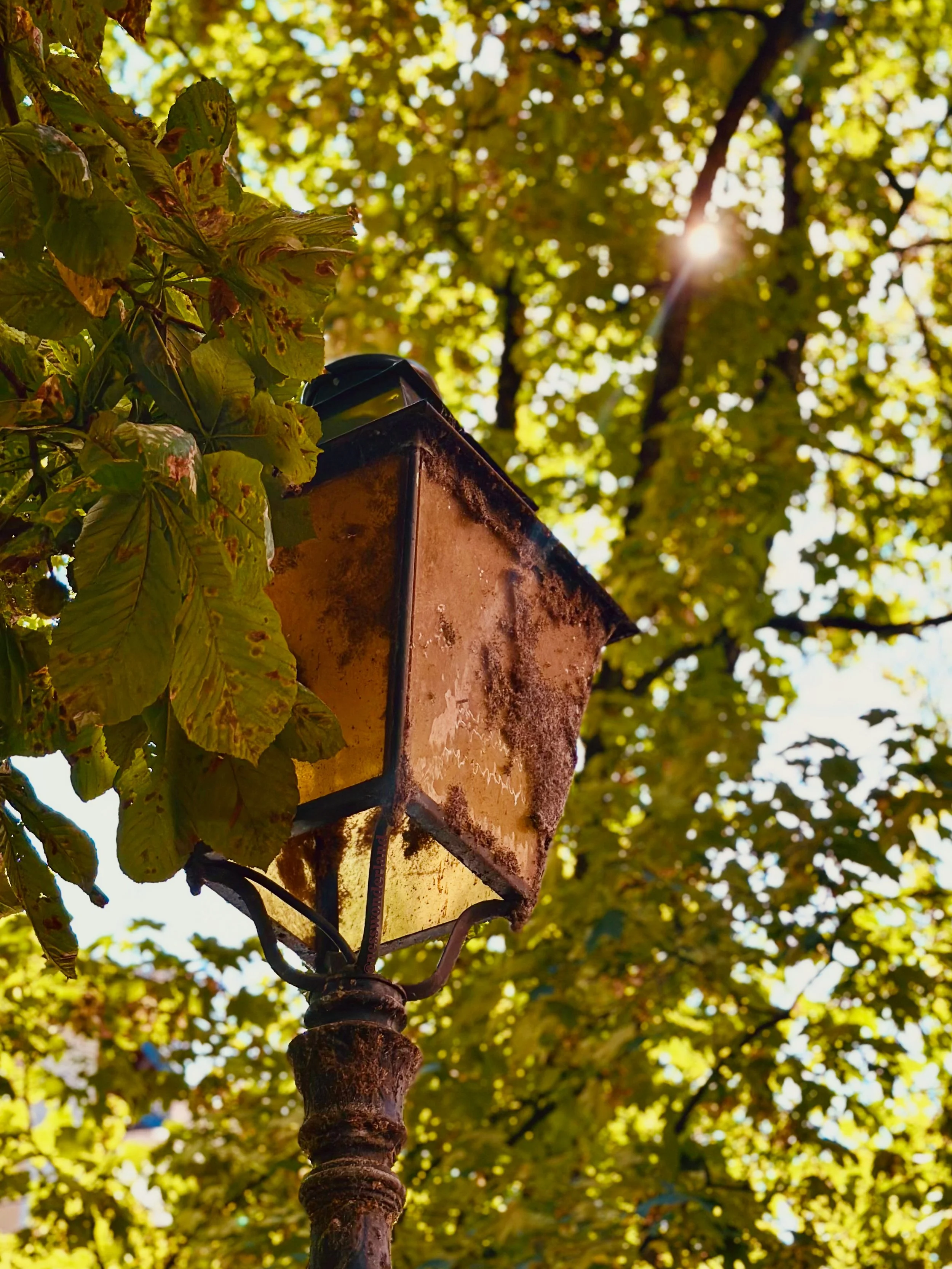 Ancien lampadaire rouillé entouré de feuilles d'automne