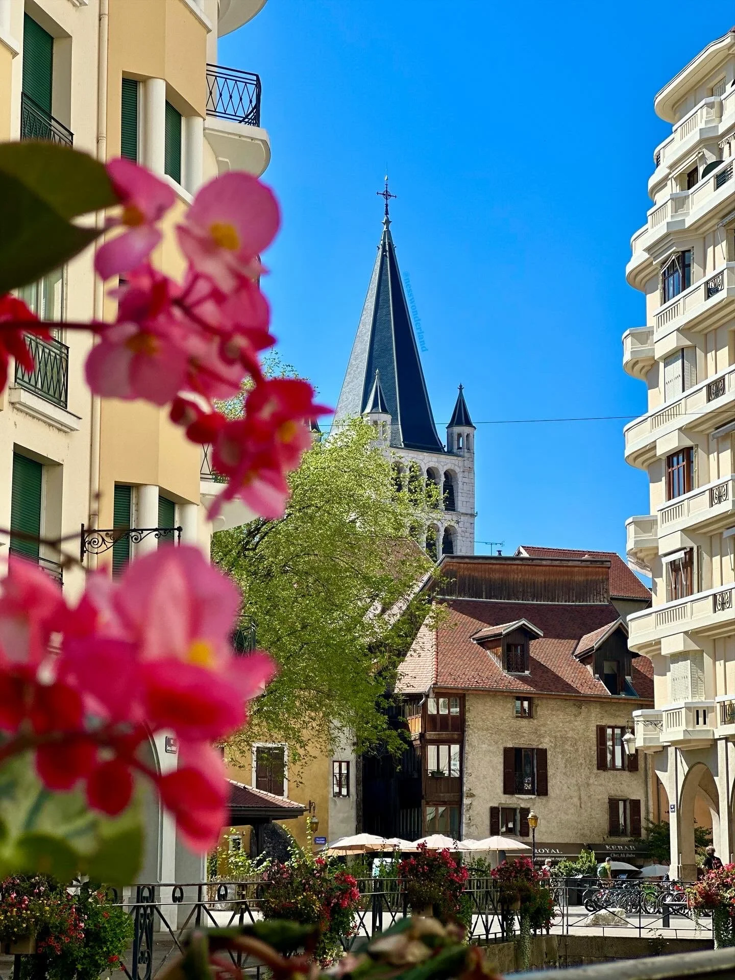 Ville avec bâtiments résidentiels et une église avec un clocher pointu, fleurs roses au premier plan, ciel bleu clair