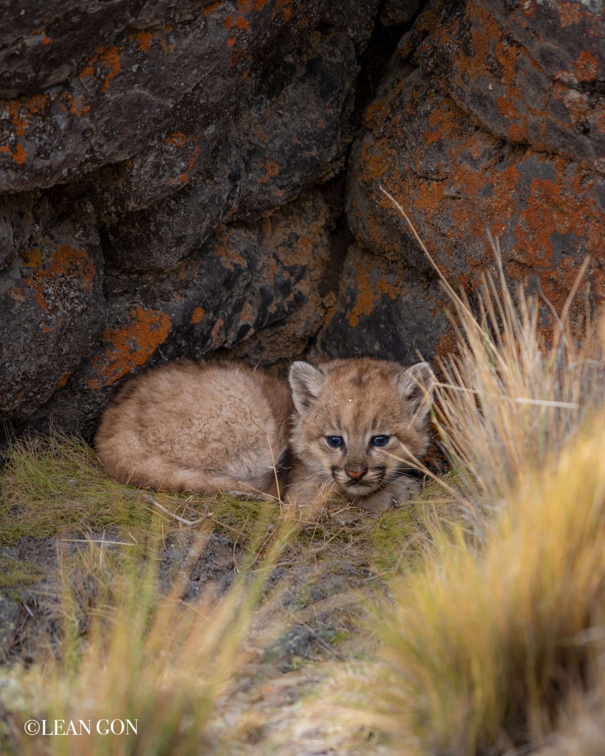 Parque Patagonia-30.jpg