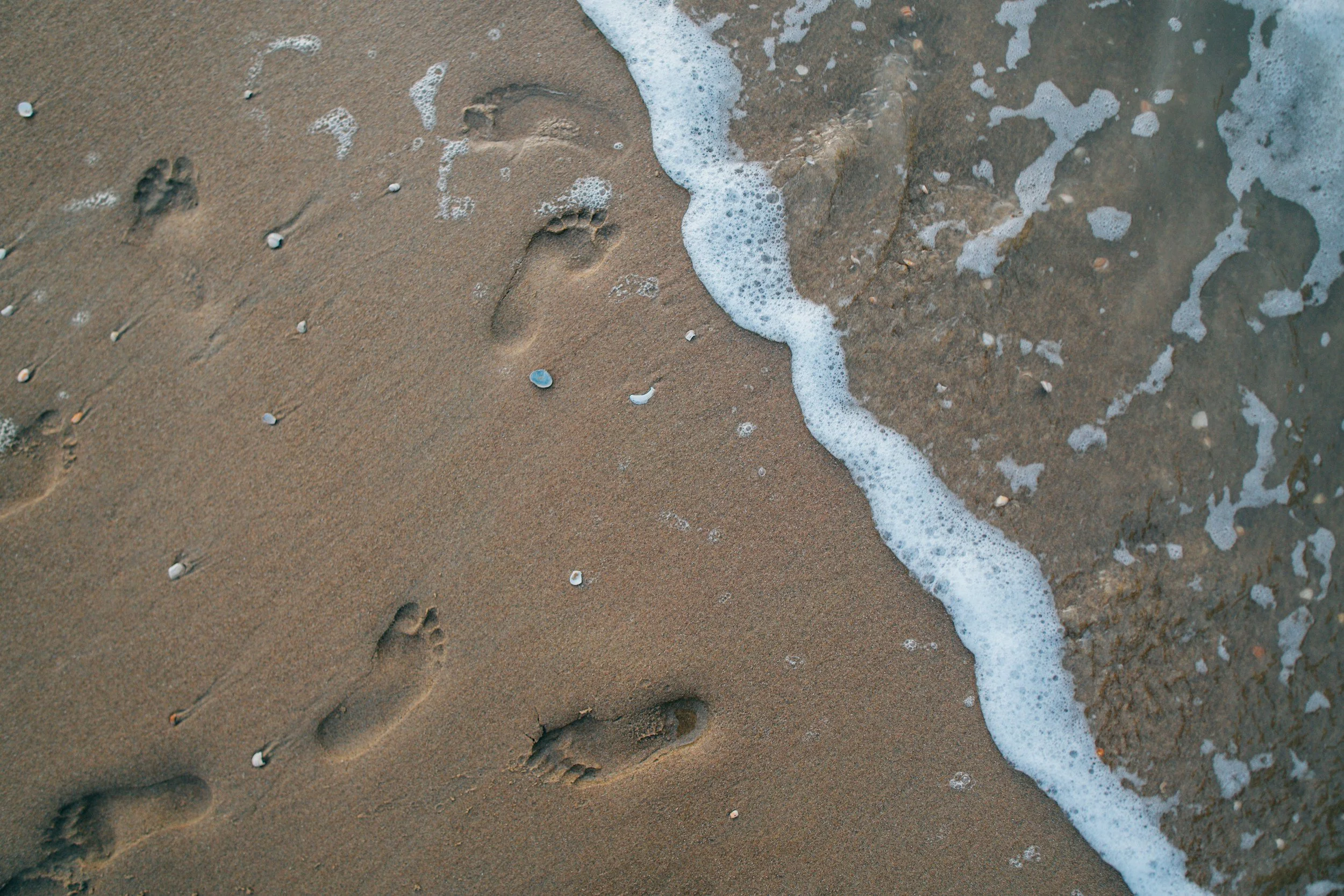 footprints on the beach