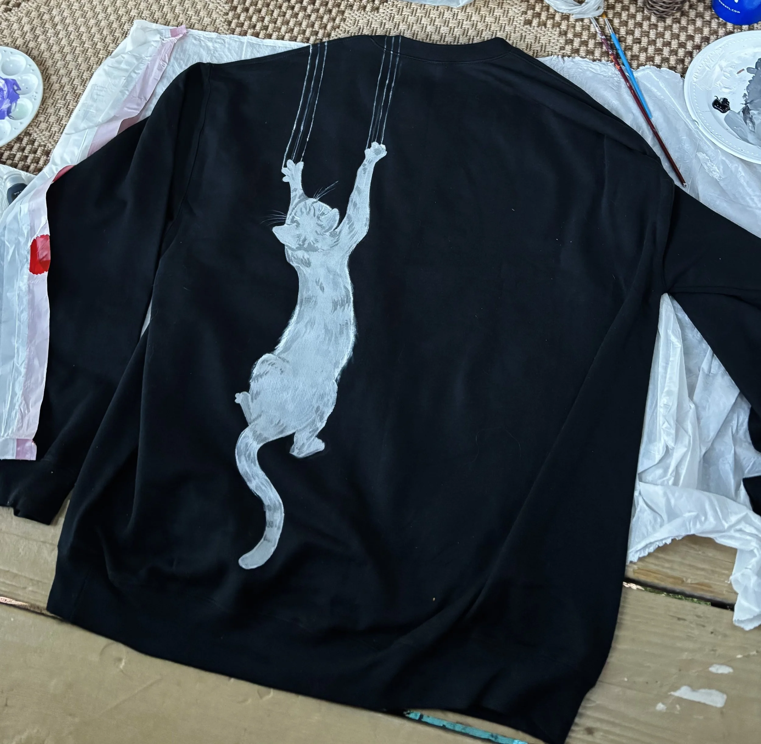 Sweatshirt_Cat.jpg