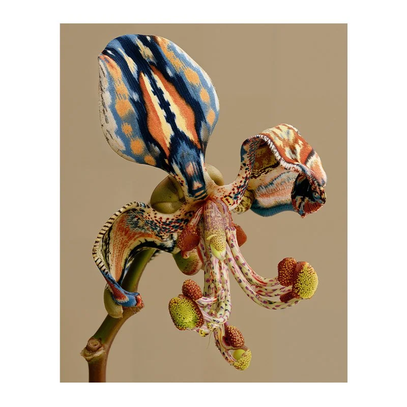 Fine Art Print - Hidden Botanica 'Avenora'