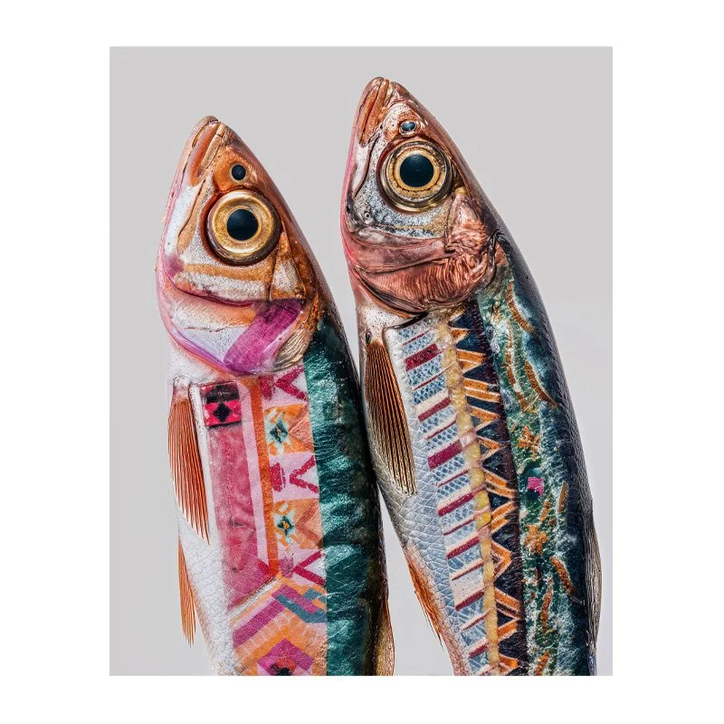 Charlie Moon - Sassy Sardines - art photo fine art print - 7.jpg
