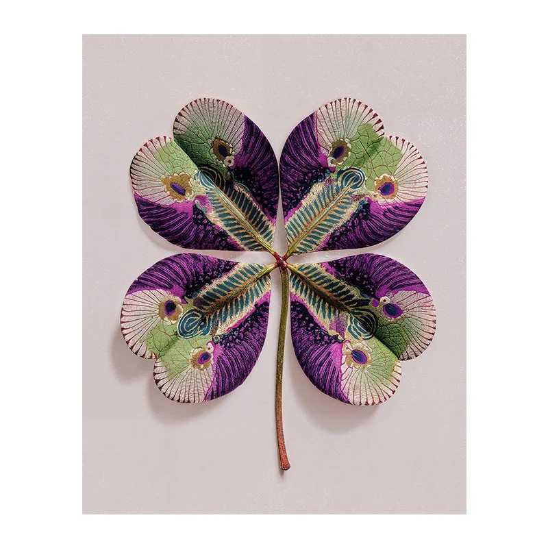 Charlie Moon - Fine Art Print - Lucky Clover 2026 - Summer Series Front - 21.png.jpg