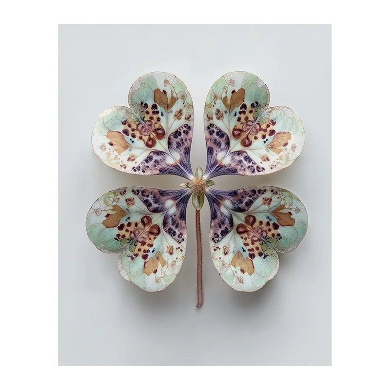 Charlie Moon - Fine Art Print - Luck Clover 6.jpg