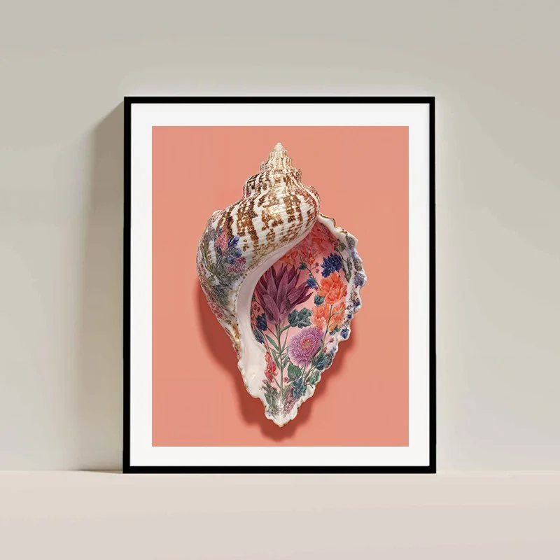 Charlie Moon Art - Conch Shell Fine Art Print, artwork, hahnemuhle, interior art - 1 interior.jpg