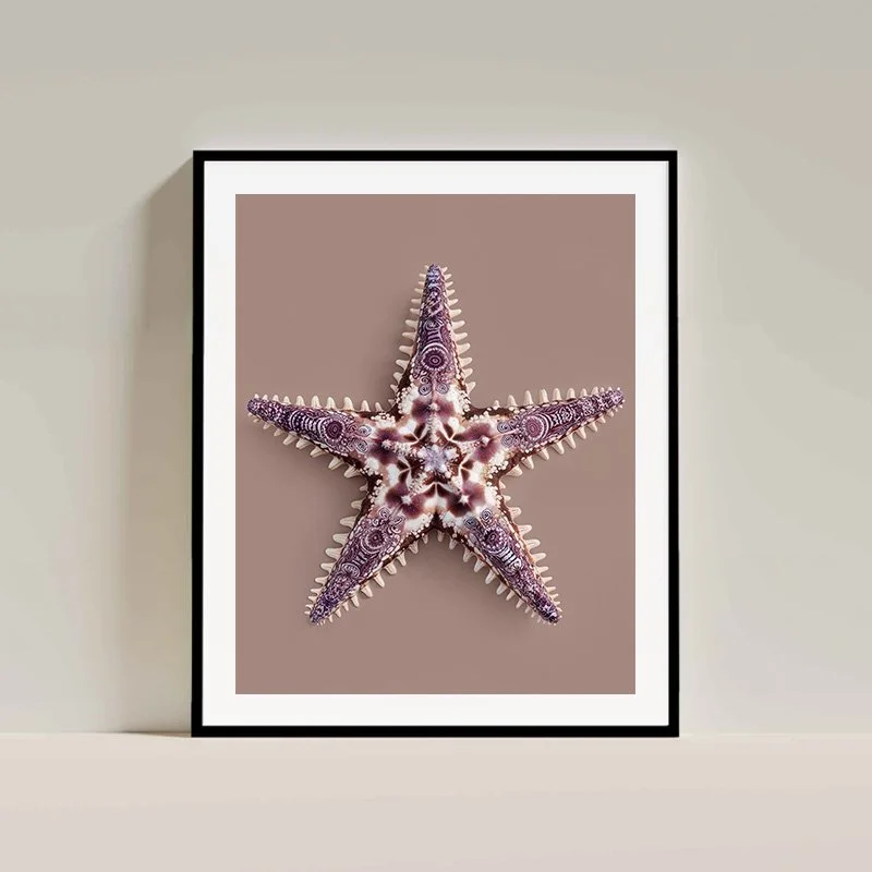Charlie Moon Art - Starfish Fine Art Print, artwork, hahnemuhle, interior art - starfish 5 interior.jpg