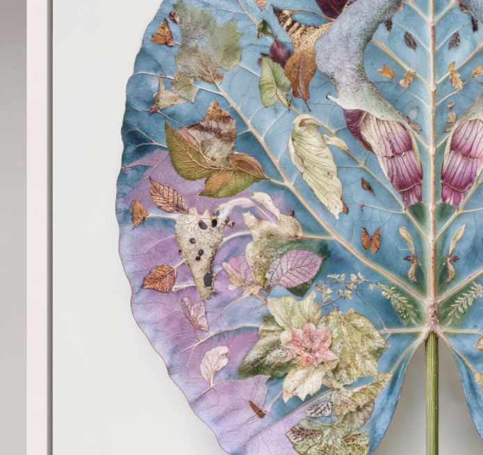 Schermafbeelding 2026-03-27 111912.png